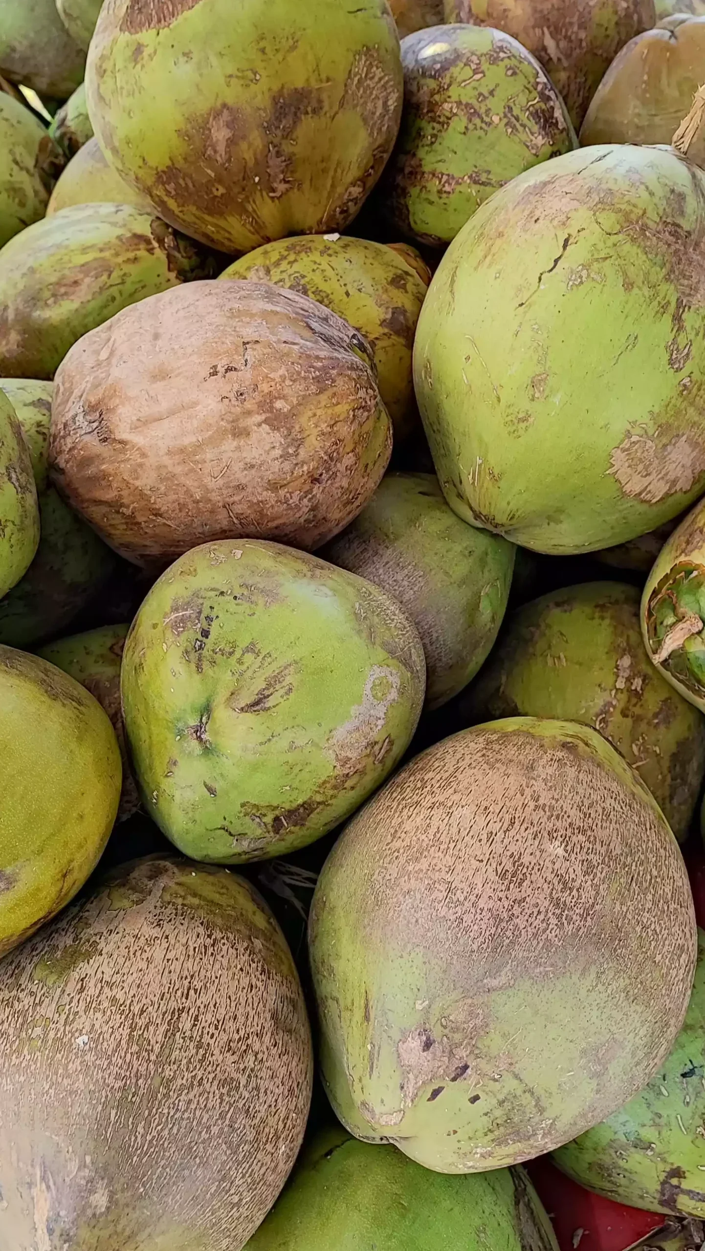 Raw coconut